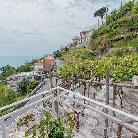 Diffuso Bacco 3* Furore