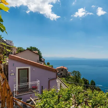 Hotel Diffuso Bacco 3*